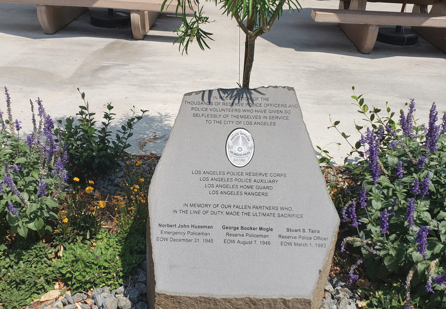 new-taira-plaque-and-reserve-memorial-granite-dedicated-3