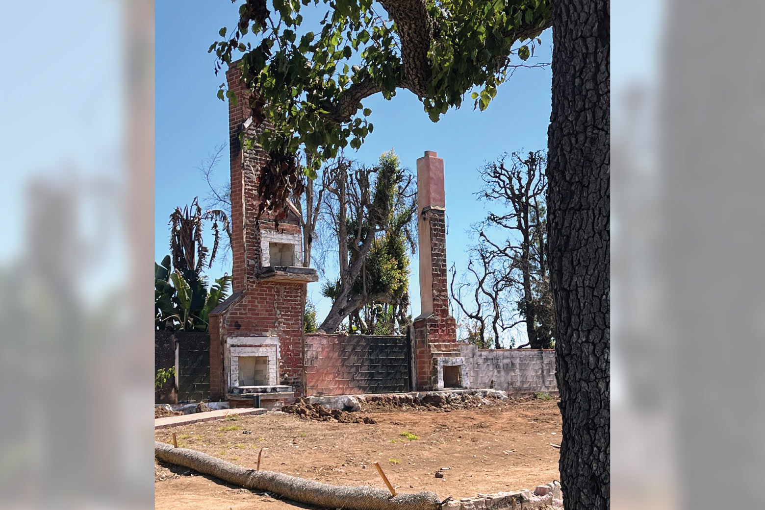 palisades-fire-area-patrol-1560×1041-3