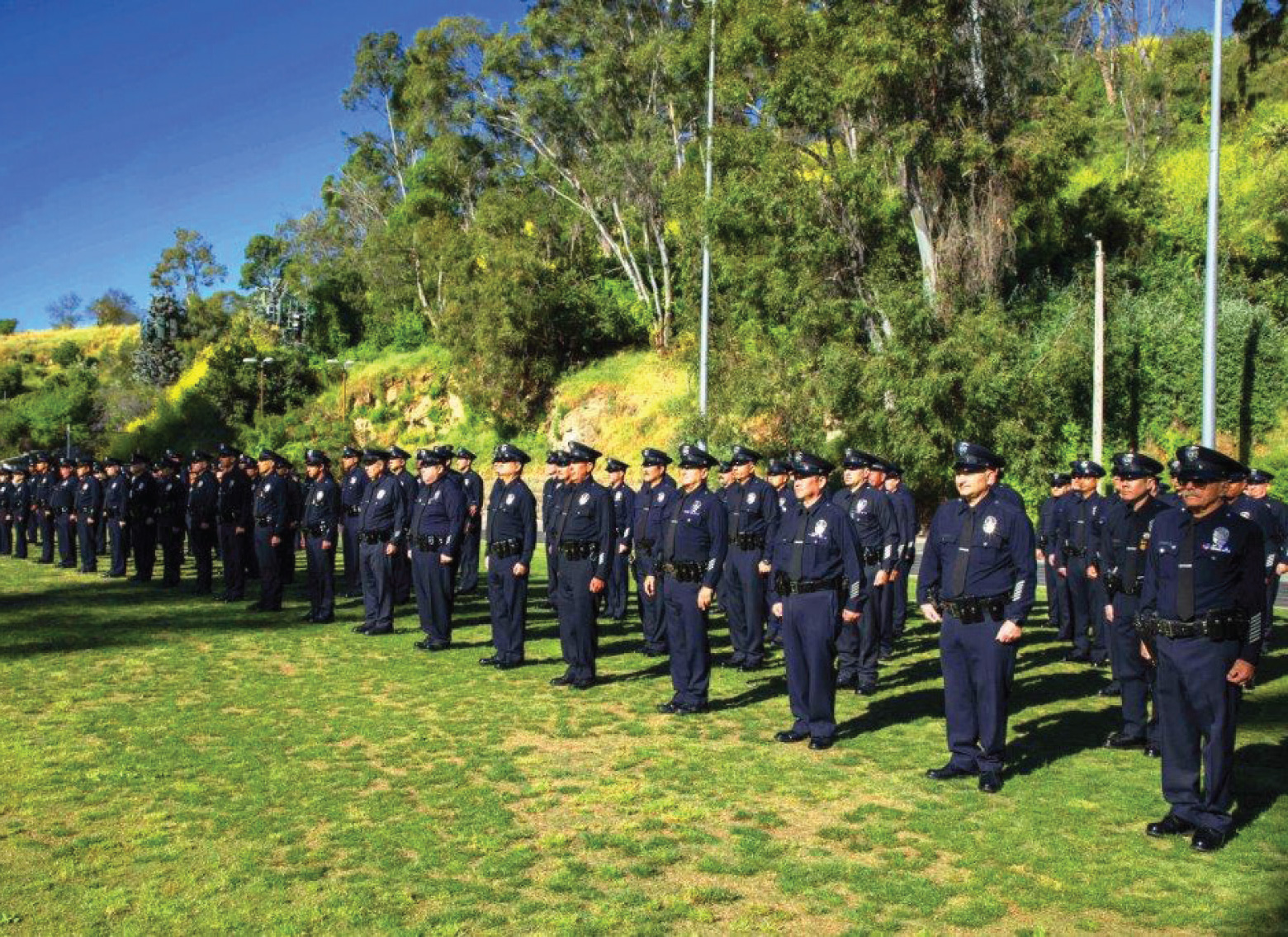 reserve-inspection-2019-9